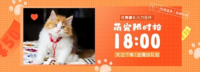 萌宠用品淘宝电商banner图