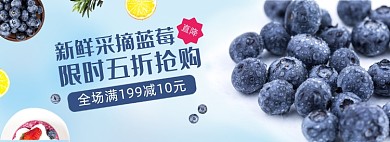 冬季蓝莓水果促销全屏海报
