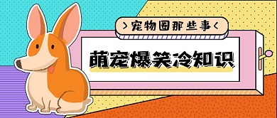 萌宠爆笑冷知识公众号首图
