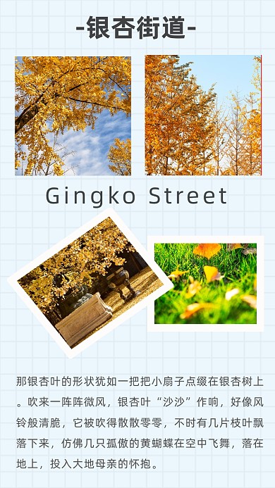 简约银杏街道文章配图