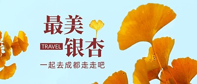 文艺小清新旅游记看银杏公众号首图