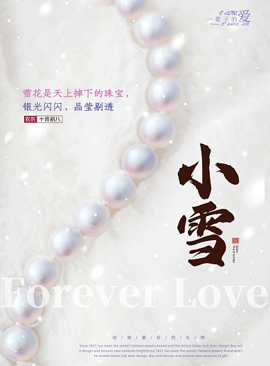 小雪雪花珠宝晶莹剔透节气海报