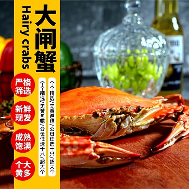 大闸蟹海鲜食品淘宝主图直通车模板