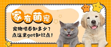 黄色宠物卡通公众号首图