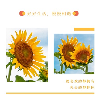好好生活慢慢相遇向日葵方形配图