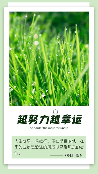 绿色简约每日书签文章配图