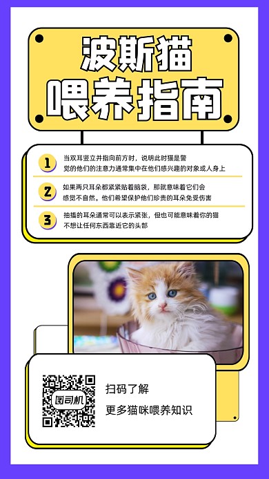 波斯猫喂养指南宣传手机海报
