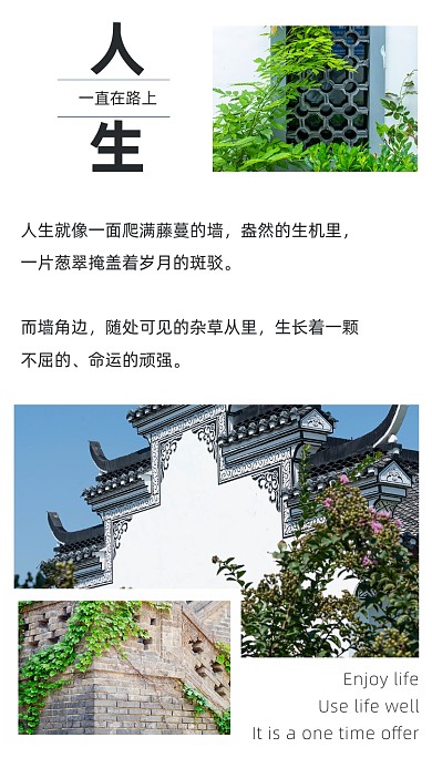 文艺清新人生的道路文章配图
