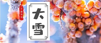 简约图文大雪节气公众号首图