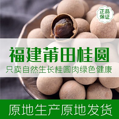 干货桂圆龙眼年货食品淘宝主图直通车模板