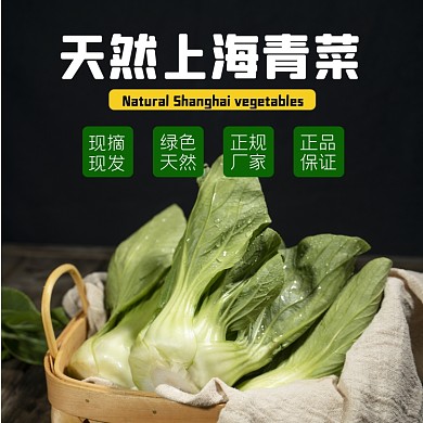 上海青菜蔬菜食品淘宝主图直通车模板