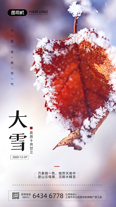 大雪节气简约摄影图宣传手机海报