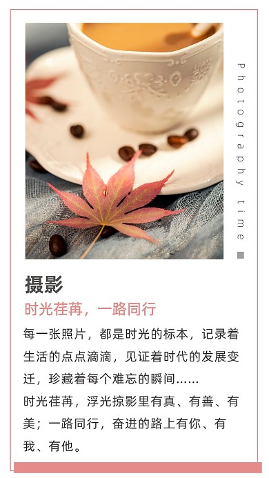 文艺清新摄影文章配图