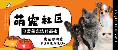 黄色宠物卡通热门封面图