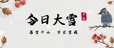大雪节气简约大气质感公众号首图