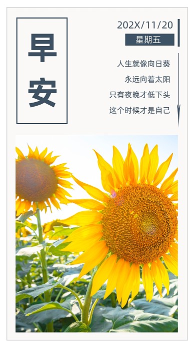 文艺清新早安文章配图