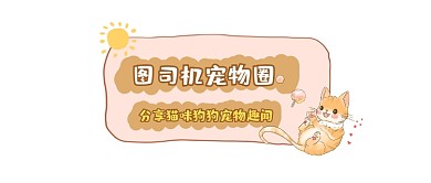 宠物圈趣闻可爱插画公众号logo