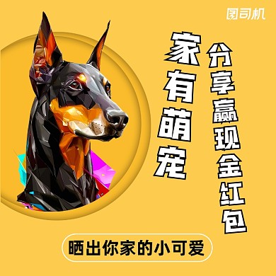 晒宠物活动简约清新手机方图