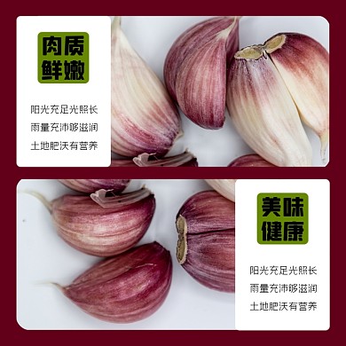 大蒜蔬菜食品淘宝主图直通车模板