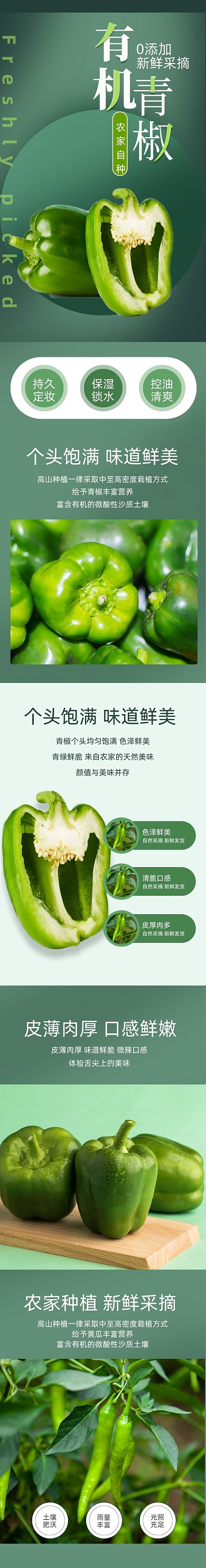 青椒肉椒辣椒蔬菜生鲜详情页