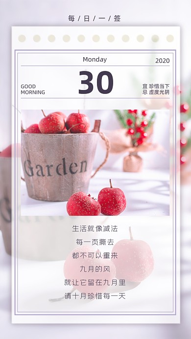 山楂圣诞树摄影日签清新简约手机海报