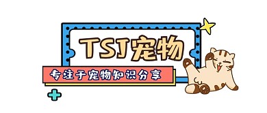 宠物萌宠可爱插画公众号logo