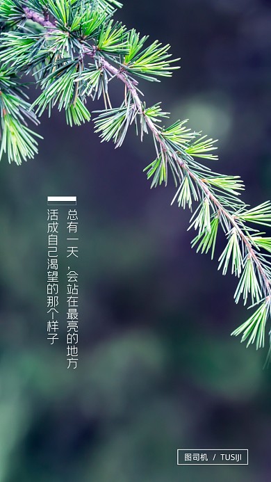 创意简约团队励志聊天背景图