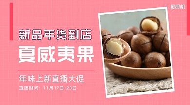 年货精选坚果促销海报benner