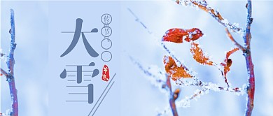 简约图文大雪节气新媒体首图