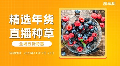 精选年货优惠简约清新海报banner