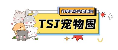 宠物圈可爱插画公众号logo