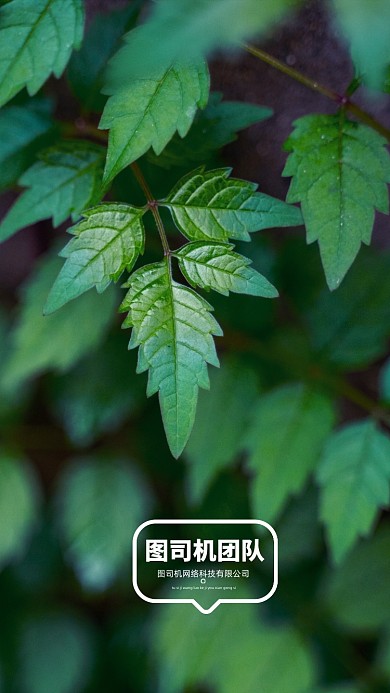 创意简约讲师团队聊天背景图