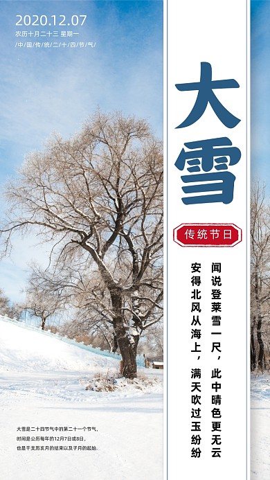 大雪二十四节气简约手机海报