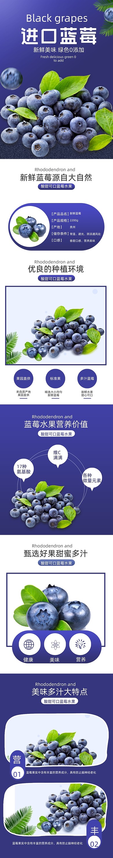 蓝莓水果食品详情页简约