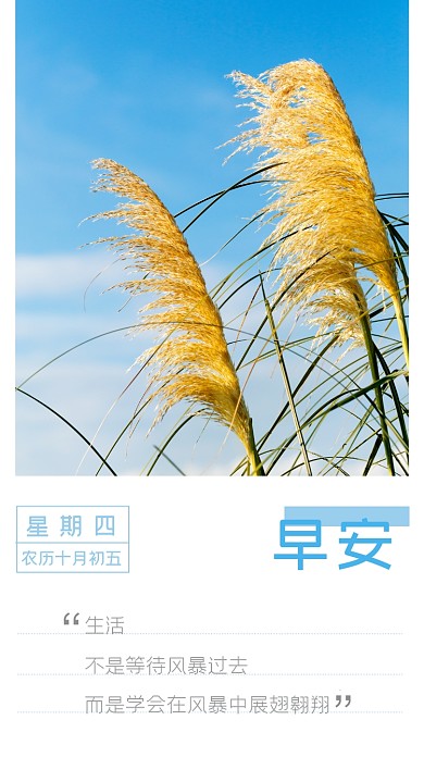 日签心情日记手机海报