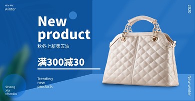 双十二包包女包时尚促销海报上新