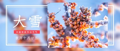 冷色系大雪节气摄影图公众号首图