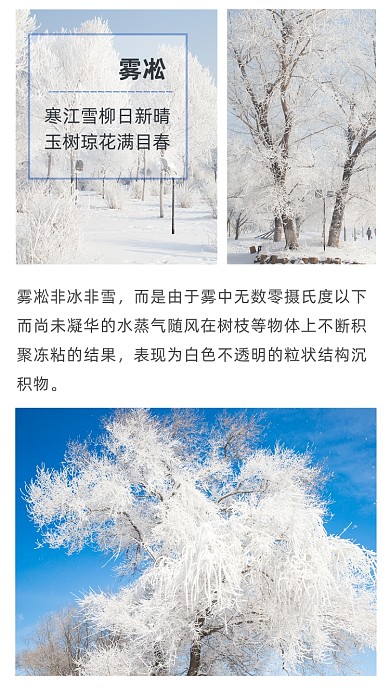 简约雾凇介绍文章配图