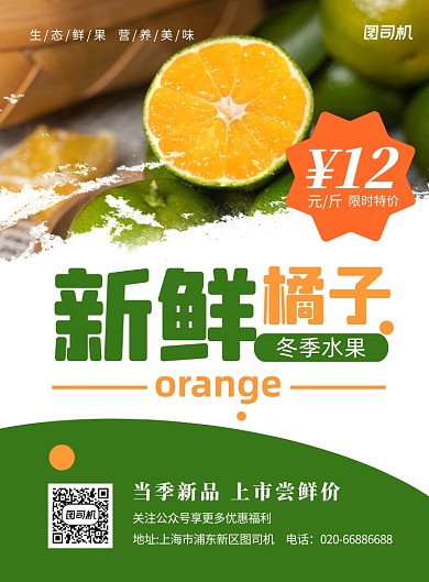 橘子当季水果绿色印刷海报