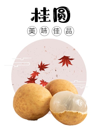 桂圆干货食品淘宝主图直通车模板