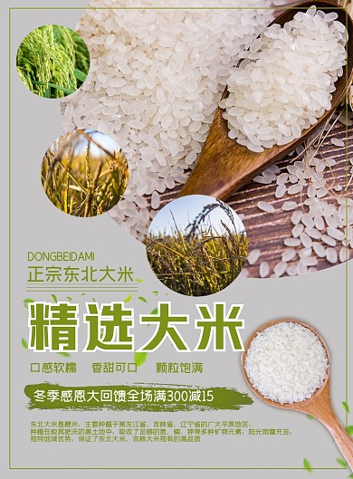 正宗东北大米宣传印刷海报