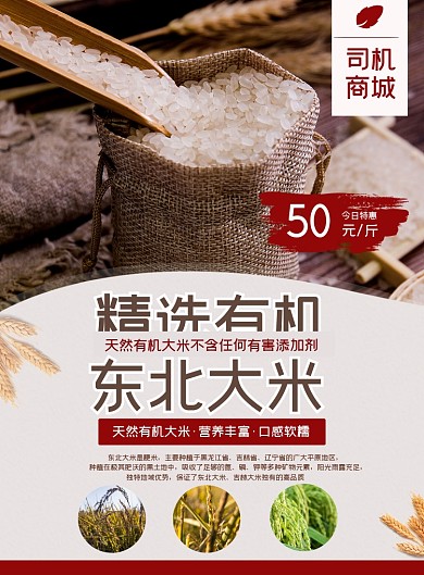 精选大米冬季促销印刷海报