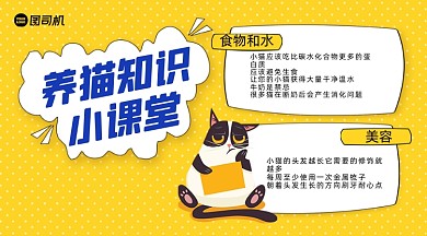 养猫知识课堂简约手绘手机横图
