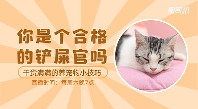 养宠物小技巧简约手机横图