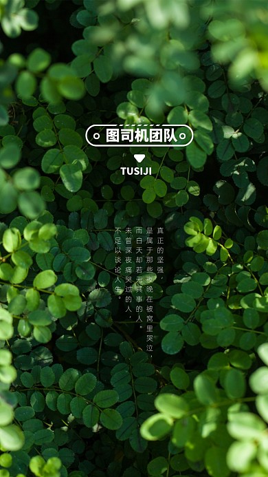 创意小清新励志讲师团队聊天背景图