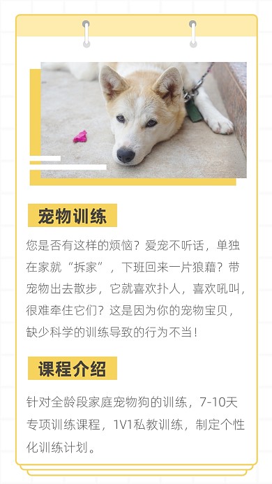 文艺清新宠物训练课程介绍文章配图