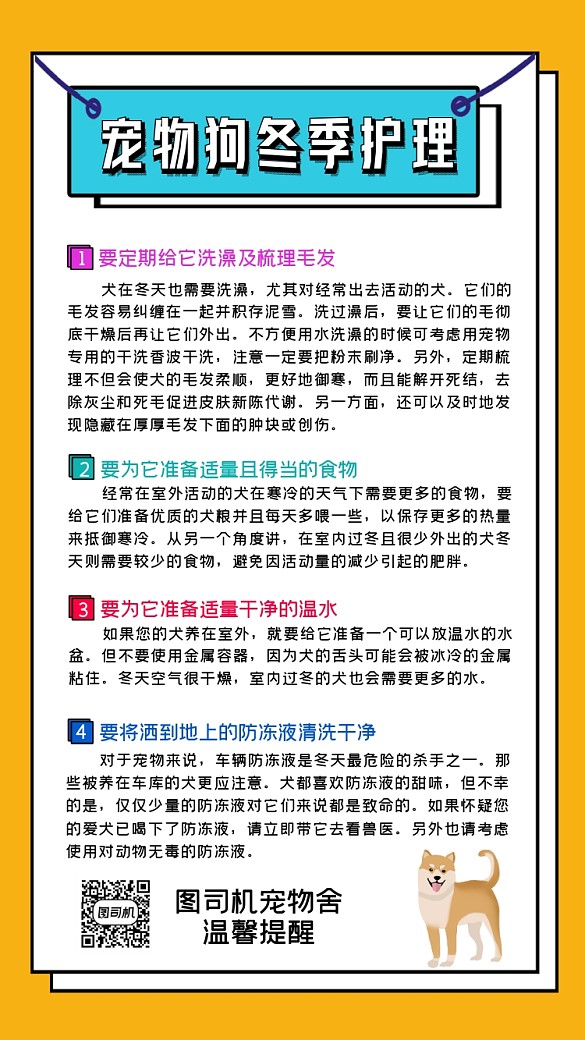 宠物狗冬季护理简约手机海报