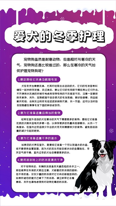 爱犬的冬季护理创意时尚手机海报