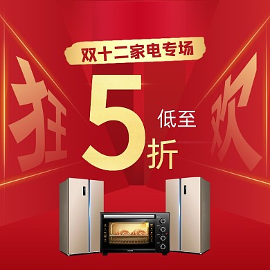 双12家电专场5折半价促销主图