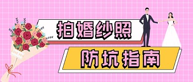 粉色网格婚纱照公众号首图
